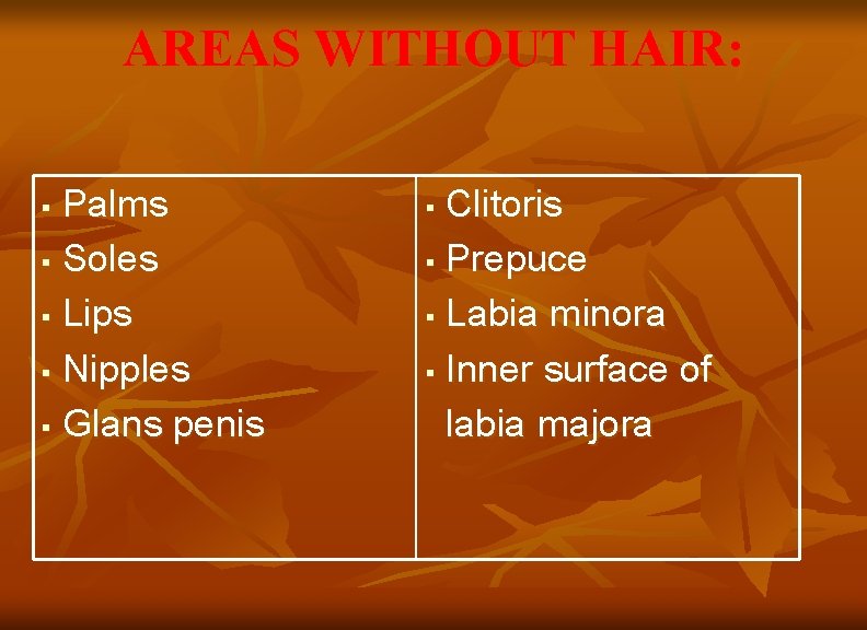 AREAS WITHOUT HAIR: Palms § Soles § Lips § Nipples § Glans penis §