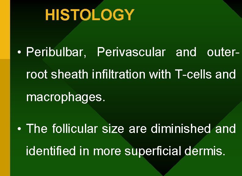 HISTOLOGY • Peribulbar, Perivascular and outerroot sheath infiltration with T-cells and macrophages. • The