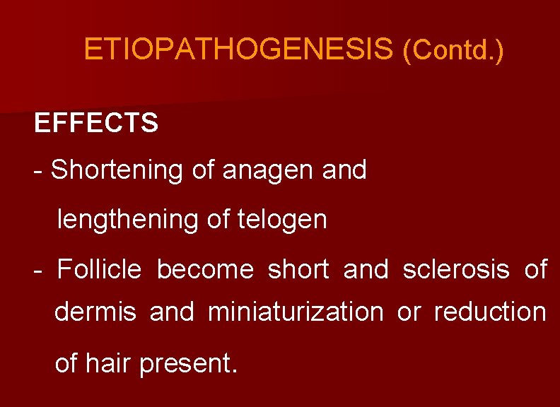 ETIOPATHOGENESIS (Contd. ) EFFECTS - Shortening of anagen and lengthening of telogen - Follicle