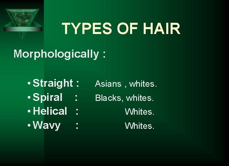 TYPES OF HAIR Morphologically : • Straight : • Spiral : • Helical :