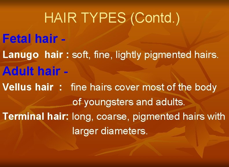 HAIR TYPES (Contd. ) Fetal hair Lanugo hair : soft, fine, lightly pigmented hairs.