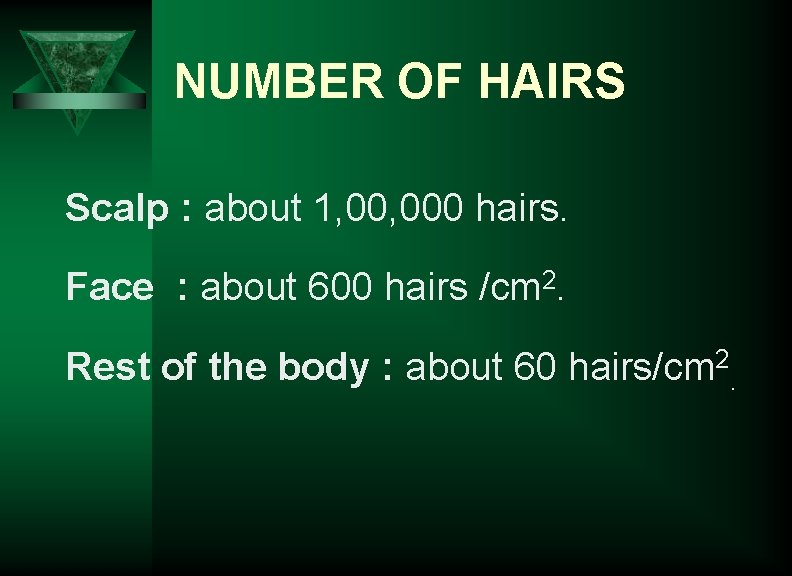 NUMBER OF HAIRS Scalp : about 1, 000 hairs. Face : about 600 hairs