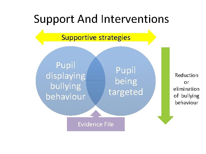 Support And Interventions Supportive strategies Pupil displaying bullying behaviour Pupil being targeted Evidence File