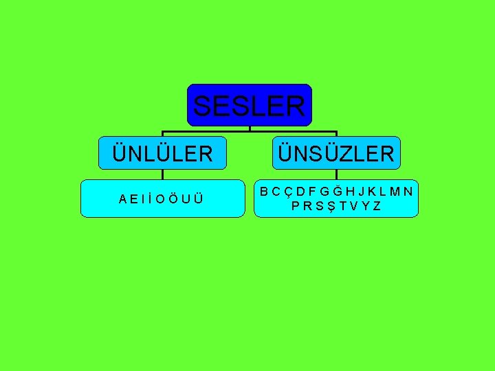 SESLER ÜNLÜLER ÜNSÜZLER AEIİOÖUÜ BCÇDFGĞHJKLMN PRSŞTVYZ 