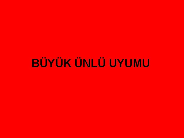 BÜYÜK ÜNLÜ UYUMU 