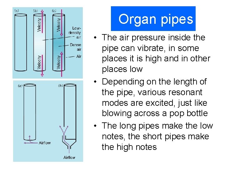 Organ pipes • The air pressure inside the pipe can vibrate, in some places