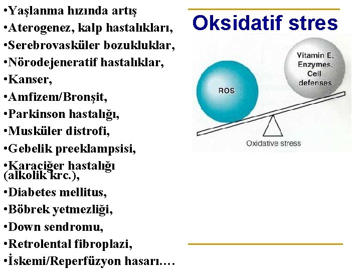  • Yaşlanma hızında artış • Aterogenez, kalp hastalıkları, • Serebrovasküler bozukluklar, • Nörodejeneratif