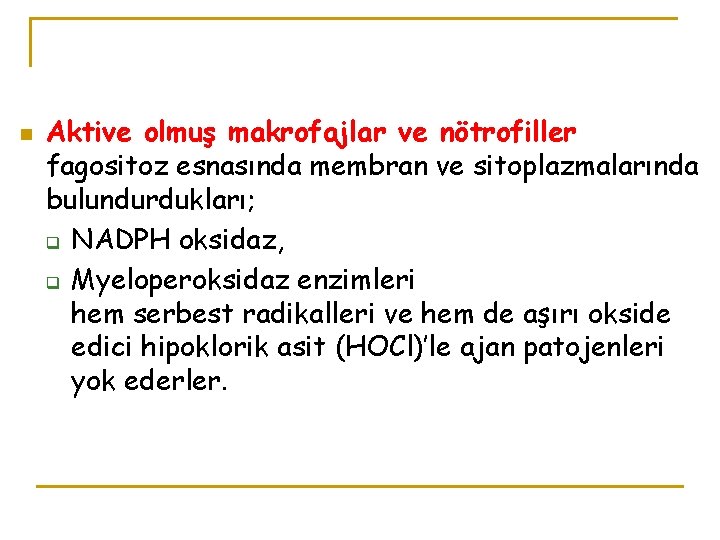 n Aktive olmuş makrofajlar ve nötrofiller fagositoz esnasında membran ve sitoplazmalarında bulundurdukları; q NADPH