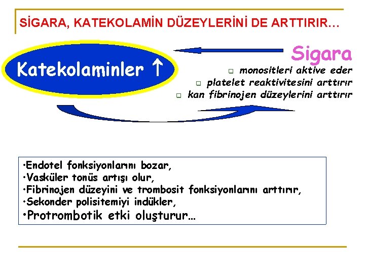 SİGARA, KATEKOLAMİN DÜZEYLERİNİ DE ARTTIRIR… Sigara Katekolaminler monositleri aktive eder q platelet reaktivitesini arttırır