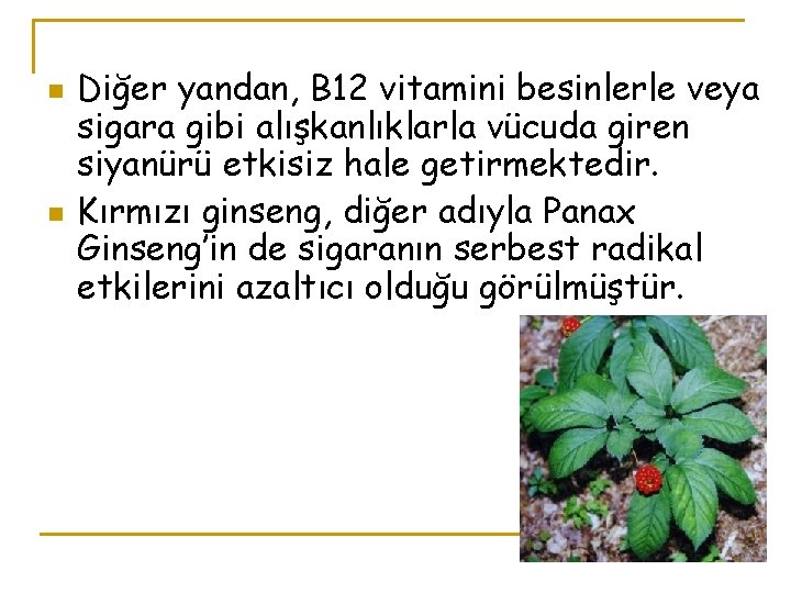 n n Diğer yandan, B 12 vitamini besinlerle veya sigara gibi alışkanlıklarla vücuda giren