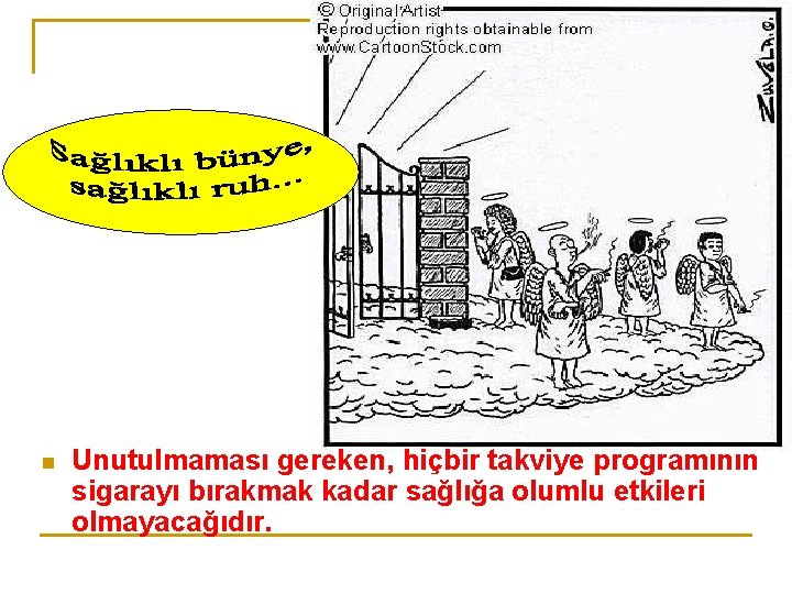 n Unutulmaması gereken, hiçbir takviye programının sigarayı bırakmak kadar sağlığa olumlu etkileri olmayacağıdır. 