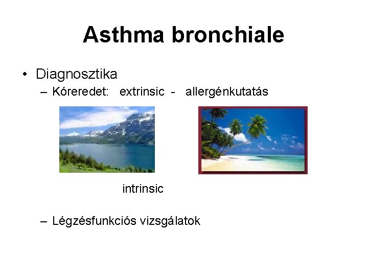 Asthma bronchiale • Diagnosztika – Kóreredet: extrinsic - allergénkutatás intrinsic – Légzésfunkciós vizsgálatok Asthma bronchiale • Diagnosztika – Kóreredet: extrinsic - allergénkutatás intrinsic – Légzésfunkciós vizsgálatok