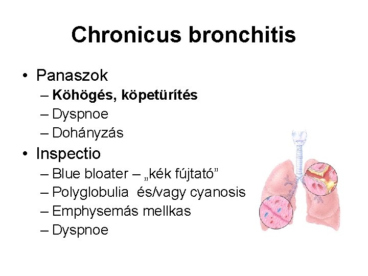 Chronicus bronchitis • Panaszok – Köhögés, köpetürítés – Dyspnoe – Dohányzás • Inspectio –