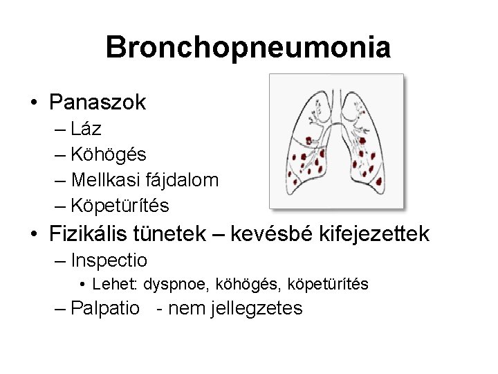 Bronchopneumonia • Panaszok – Láz – Köhögés – Mellkasi fájdalom – Köpetürítés • Fizikális