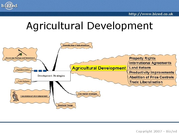 http: //www. bized. co. uk Agricultural Development Copyright 2007 – Biz/ed 