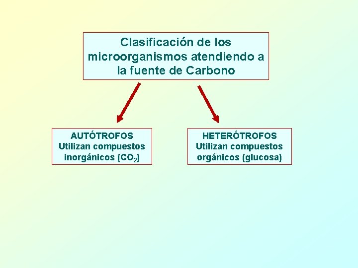 Clasificación de los microorganismos atendiendo a la fuente de Carbono AUTÓTROFOS Utilizan compuestos inorgánicos