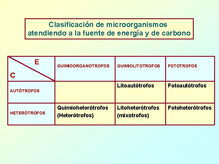 Clasificación de microorganismos atendiendo a la fuente de energía y de carbono E QUIMIOORGANOTROFOS