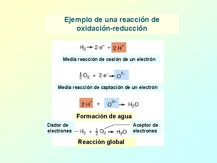 Ejemplo de una reacción de oxidación-reducción Media reacción de cesión de un electrón Media