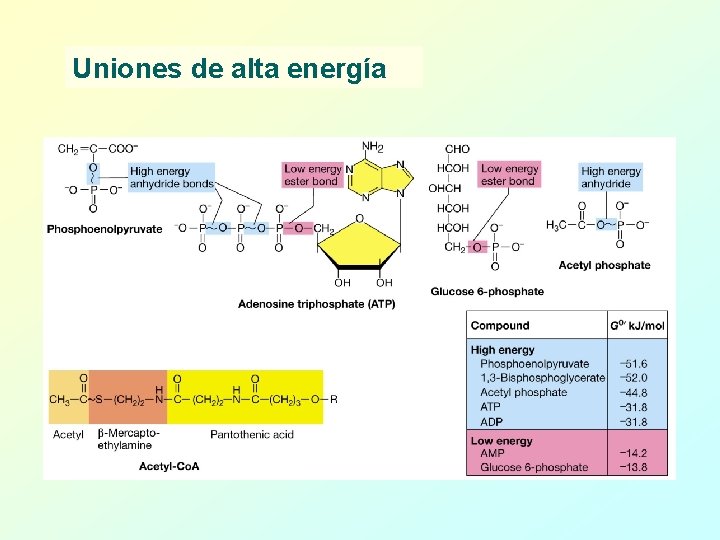 Uniones de alta energía 