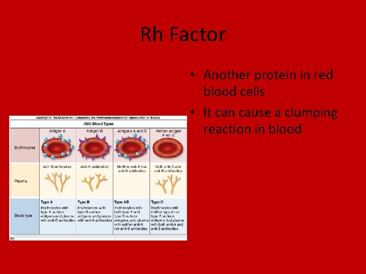 Rh Factor • Another protein in red blood cells • It can cause a