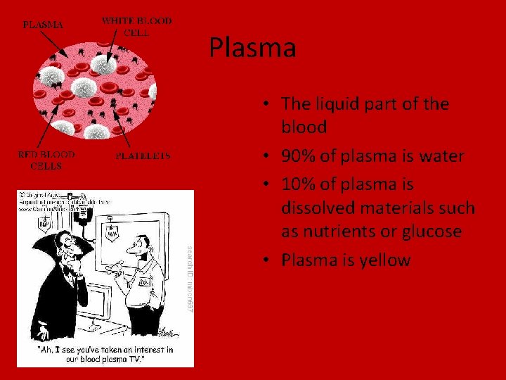 Chapter 16 Circulation Section 2 Blood and Lymph