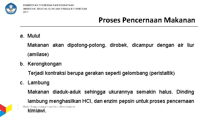 Proses Pencernaan Makanan a. Mulut Makanan akan dipotong-potong, dirobek, dicampur dengan air liur (amilase)