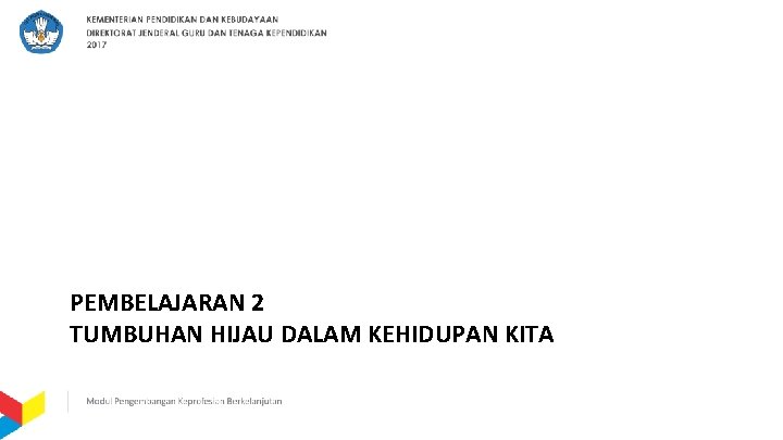 PEMBELAJARAN 2 TUMBUHAN HIJAU DALAM KEHIDUPAN KITA 