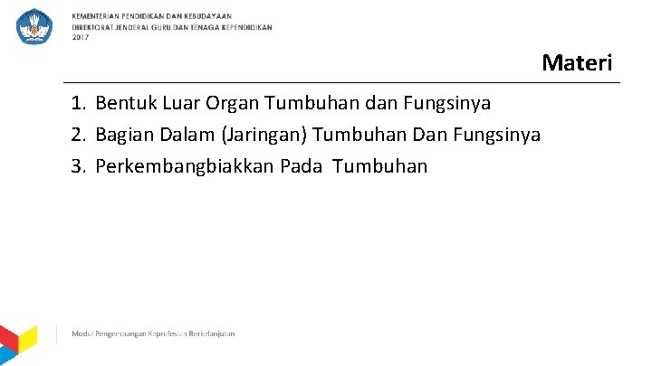 Materi 1. Bentuk Luar Organ Tumbuhan dan Fungsinya 2. Bagian Dalam (Jaringan) Tumbuhan Dan