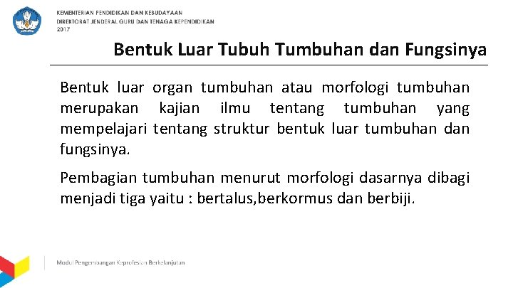 Bentuk Luar Tubuh Tumbuhan dan Fungsinya Bentuk luar organ tumbuhan atau morfologi tumbuhan merupakan