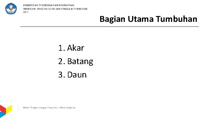 Bagian Utama Tumbuhan 1. Akar 2. Batang 3. Daun 