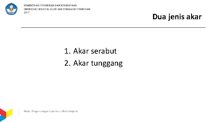 Dua jenis akar 1. Akar serabut 2. Akar tunggang 