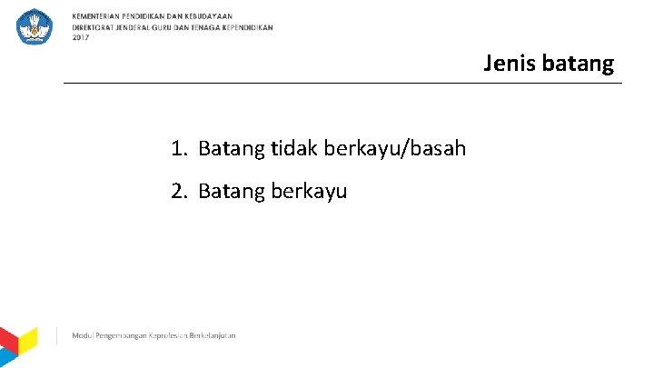 Jenis batang 1. Batang tidak berkayu/basah 2. Batang berkayu 