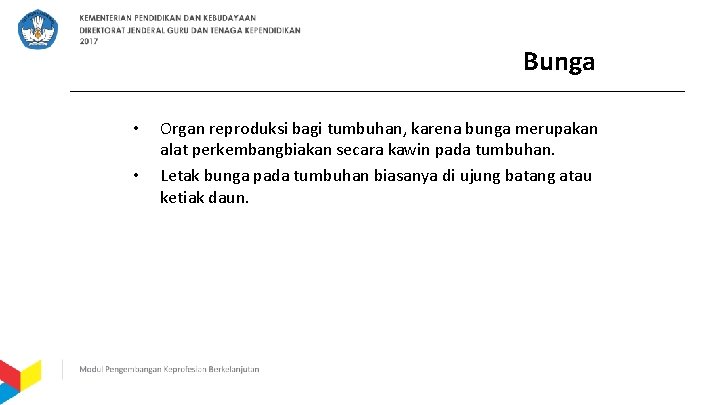 Bunga • • Organ reproduksi bagi tumbuhan, karena bunga merupakan alat perkembangbiakan secara kawin