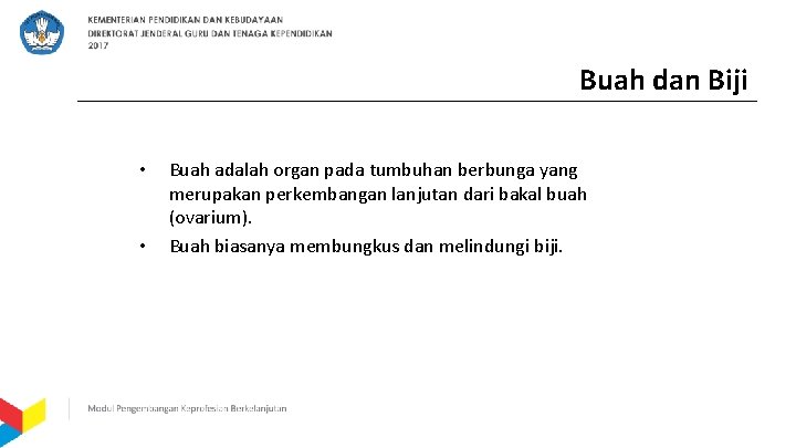 Buah dan Biji • • Buah adalah organ pada tumbuhan berbunga yang merupakan perkembangan