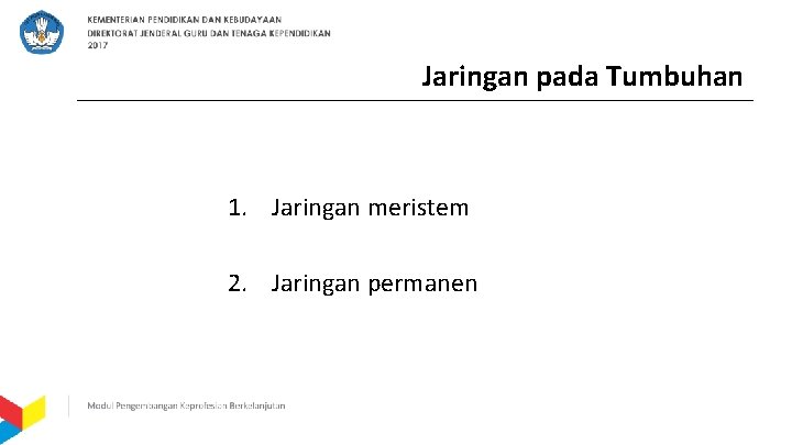 Jaringan pada Tumbuhan 1. Jaringan meristem 2. Jaringan permanen 