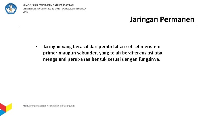 Jaringan Permanen • Jaringan yang berasal dari pembelahan sel-sel meristem primer maupun sekunder, yang