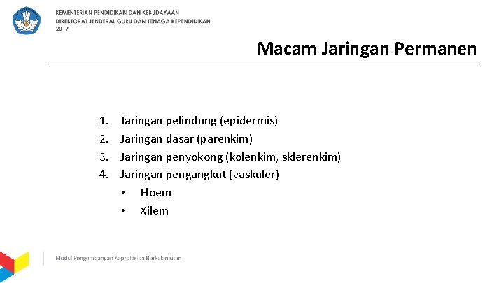 Macam Jaringan Permanen 1. 2. 3. 4. Jaringan pelindung (epidermis) Jaringan dasar (parenkim) Jaringan