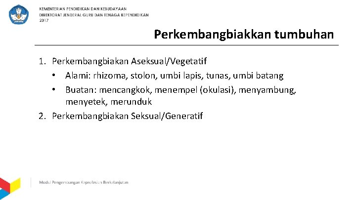 Perkembangbiakkan tumbuhan 1. Perkembangbiakan Aseksual/Vegetatif • Alami: rhizoma, stolon, umbi lapis, tunas, umbi batang