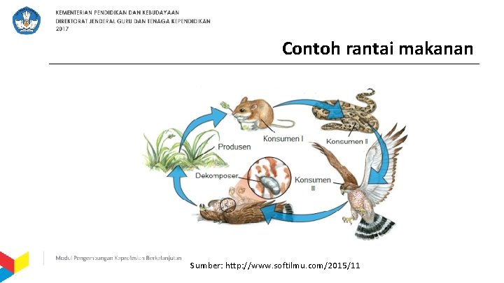 Contoh rantai makanan Sumber: http: //www. softilmu. com/2015/11 