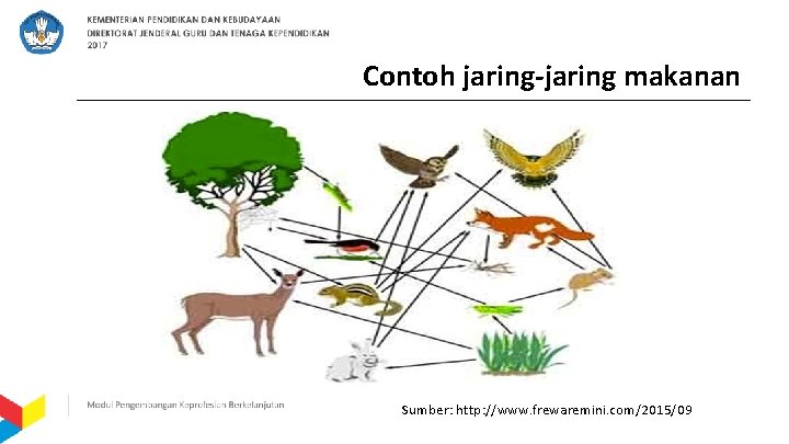 Contoh jaring-jaring makanan Sumber: http: //www. frewaremini. com/2015/09 