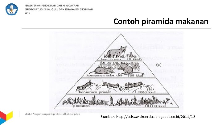 Contoh piramida makanan Sumber: http: //athaanakcerdas. blogspot. co. id/2011/12 