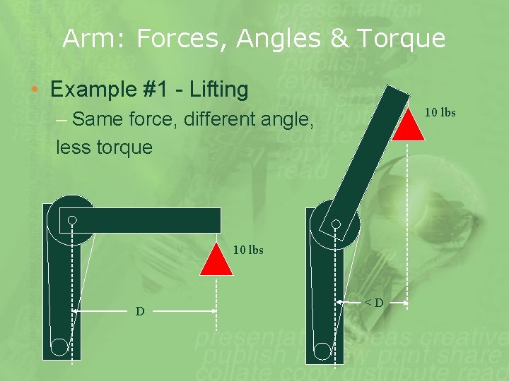 Arm: Forces, Angles & Torque • Example #1 - Lifting 10 lbs – Same