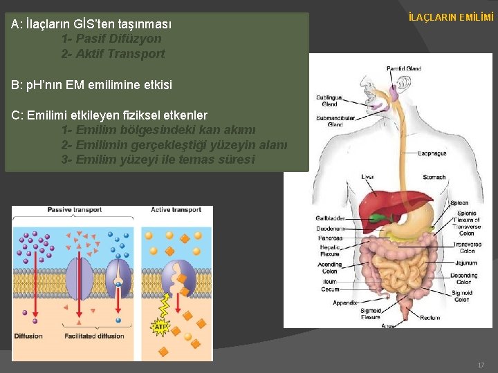 A: İlaçların GİS’ten taşınması 1 - Pasif Difüzyon 2 - Aktif Transport İLAÇLARIN EMİLİMİ