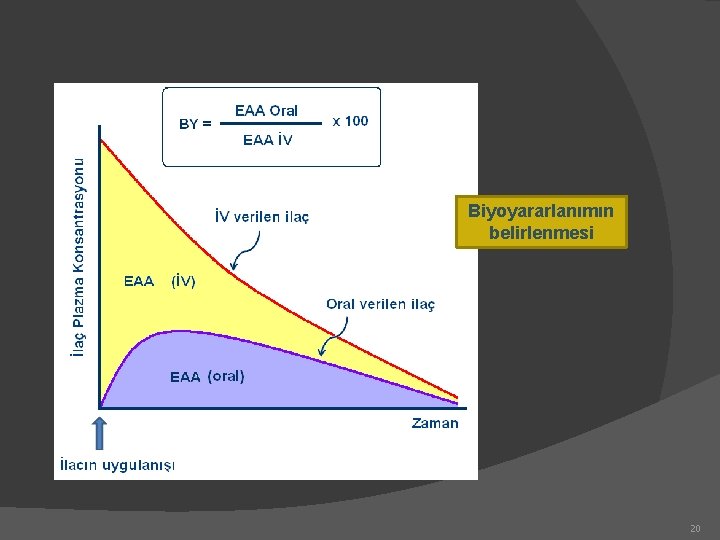 Biyoyararlanımın belirlenmesi 20 