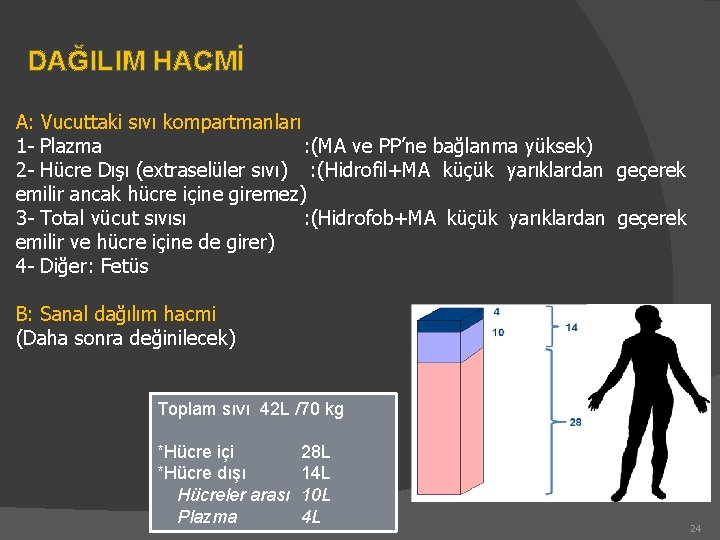 DAĞILIM HACMİ A: Vucuttaki sıvı kompartmanları 1 - Plazma : (MA ve PP’ne bağlanma