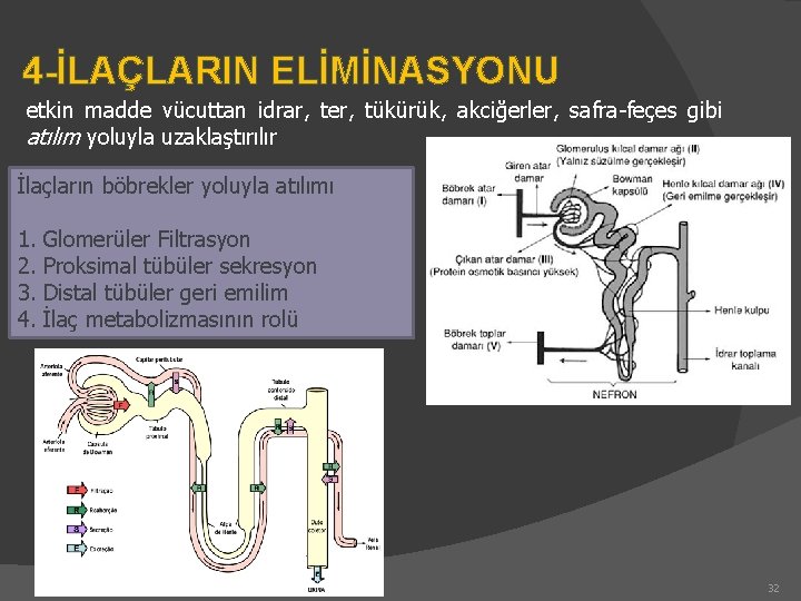 4 -İLAÇLARIN ELİMİNASYONU etkin madde vücuttan idrar, ter, tükürük, akciğerler, safra-feçes gibi atılım yoluyla