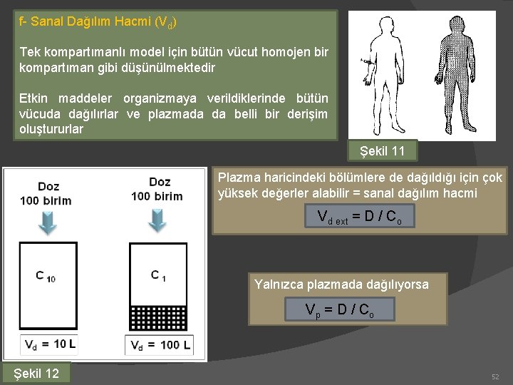 f- Sanal Dağılım Hacmi (Vd) Tek kompartımanlı model için bütün vücut homojen bir kompartıman