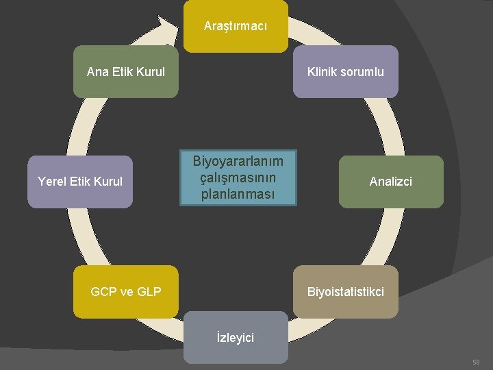 Araştırmacı Ana Etik Kurul Yerel Etik Kurul Klinik sorumlu Biyoyararlanım çalışmasının planlanması GCP ve