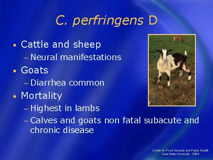 C. perfringens D • Cattle and sheep − Neural • manifestations Goats − Diarrhea