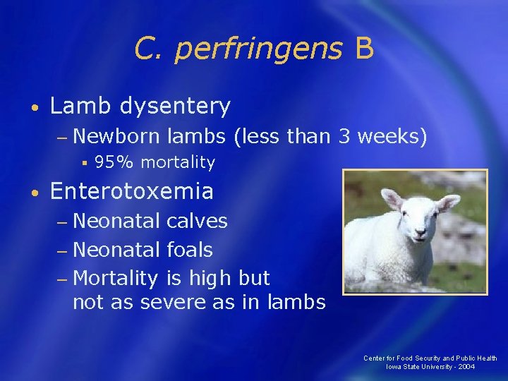 C. perfringens B • Lamb dysentery − Newborn § • lambs (less than 3